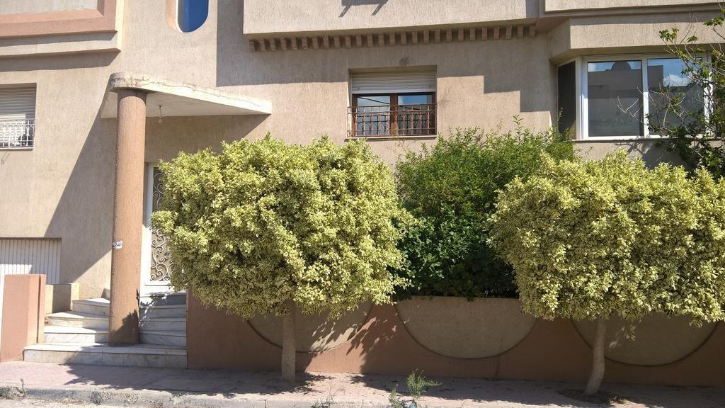 Appartamento Dar Aloulou Tunisi Esterno foto